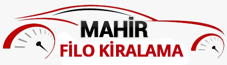 Web Site Satışı Rent A Car